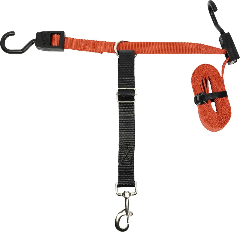 PetSafe Happy Ride Dog Zipline Car Leash – Essentials for Dogs