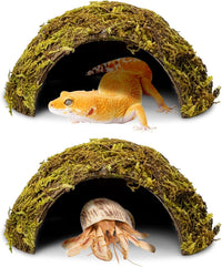 PINVNBY 2 PCS Natural Coconut Reptile Hideouts Lizard Coco Hut Hermit - Moss Surface / 2 PCS