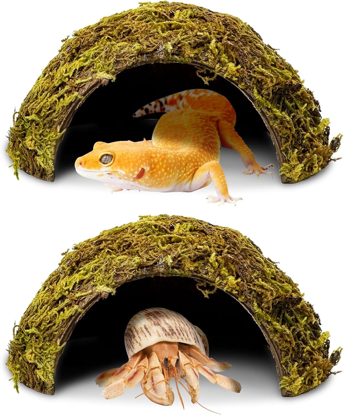PINVNBY 2 PCS Natural Coconut Reptile Hideouts Lizard Coco Hut Hermit - Moss Surface / 2 PCS
