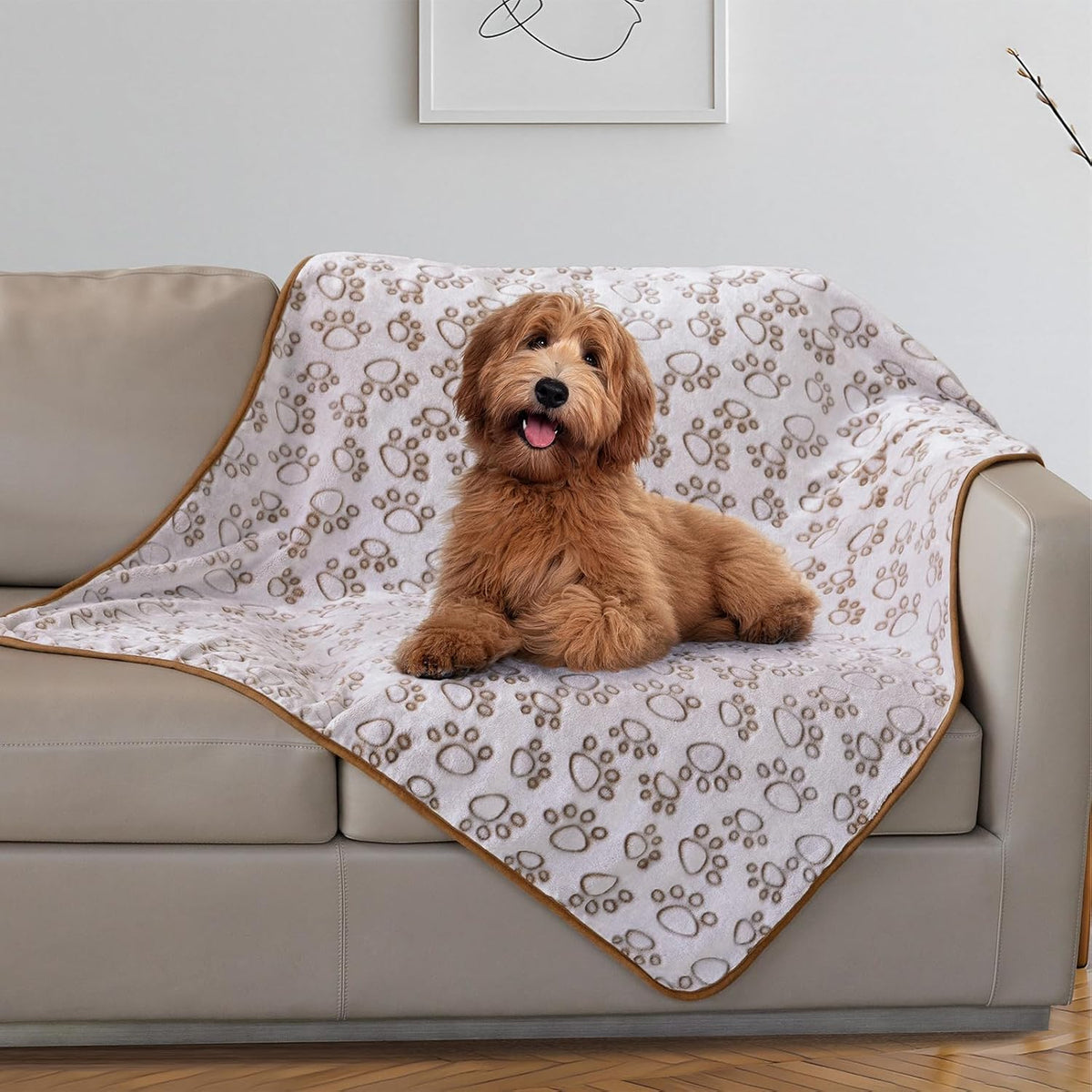 Stuffed Premium Soft Dog Blanket Washable - Brown / L(42x66")
