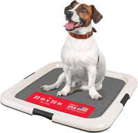 IRIS USA Secure Pee Pad Holder for Regular Sized Dogs - Dark Gray / 22" x 22"