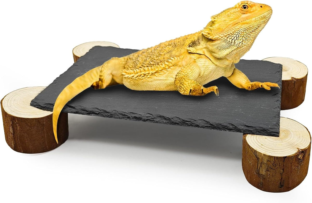 Bearded Dragon Basking Platform - XL - 10" x 6" x 1.6"