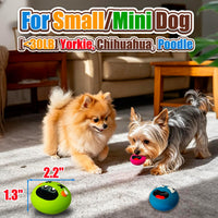 Latex Squeaky Dog Toys for Small Dogs, Mini Breed - 4 Colors - image 2