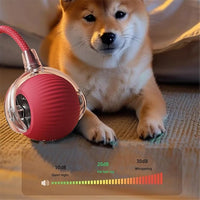 Interactive Cat Toy Ball for Indoor Cats - 3-Speed Smart Rolling Ball with Flashing Lights, USB Rechargeable Automatic Motion Kitten Toys for Bored Adult Cats & Playful Kittens