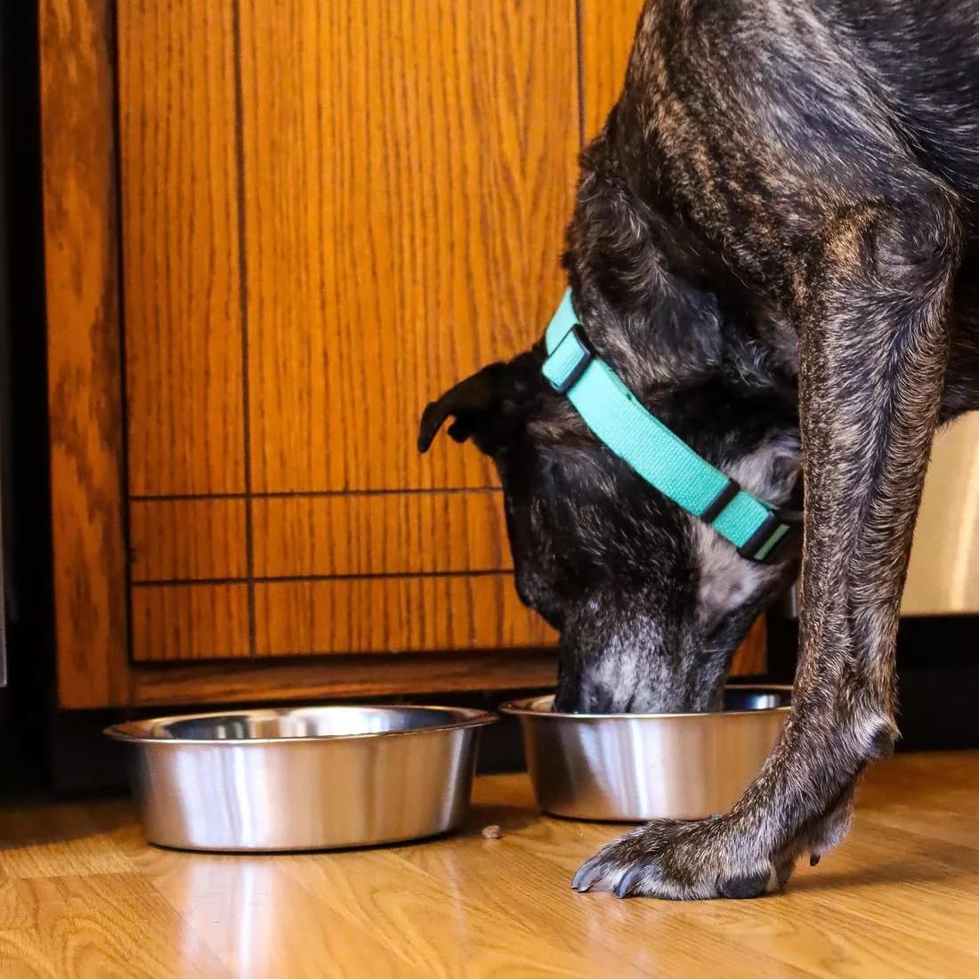Stainless Steel Dog Bowl 2-Pack Pet Feeder Bowls 10 Cup – Essentials for Dogs - 7 cups - image 2