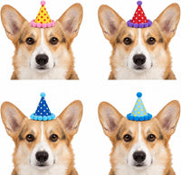 10pcs Colorful Mini Party Hats - Colorful Poms - image 3