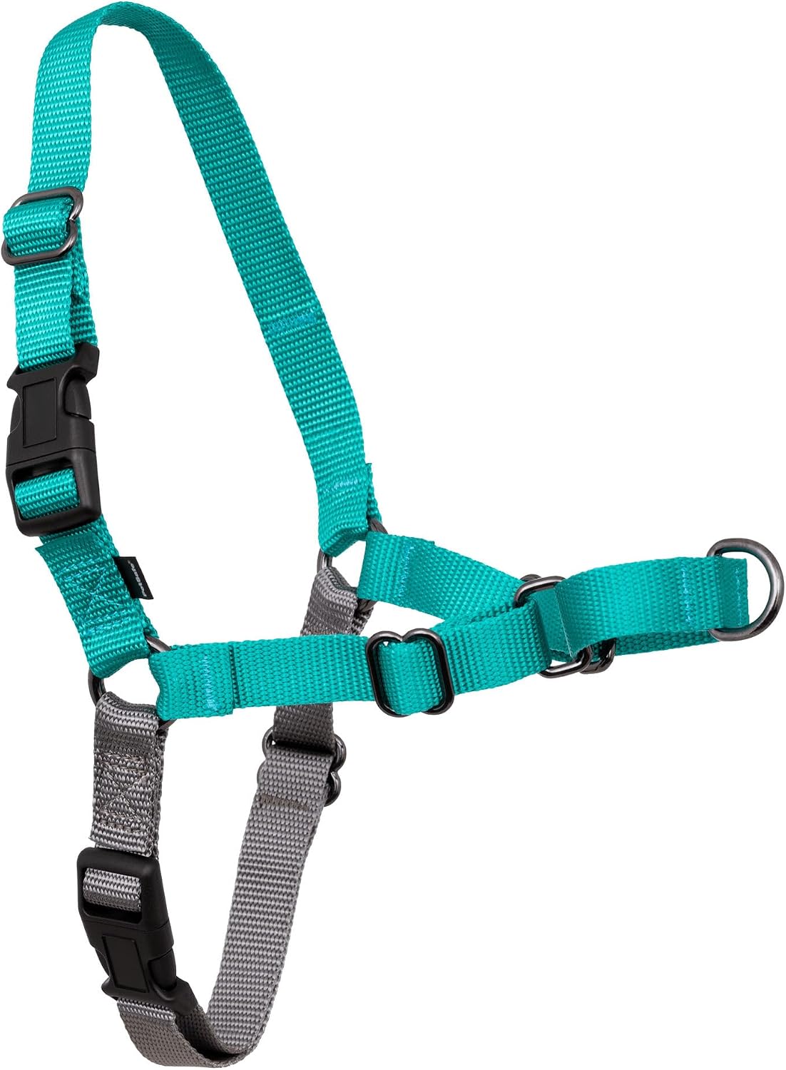 PetSafe Easy Walk Harness, No Pull Dog Harness, Royal Blue - Teal/Gray / Medium / 1