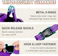 Dog Harness Step in Dog Vest Harness, Reflective Adjustable Puppy No Pull Harness Breathable Soft for Small and Medium Dogs Cats, Purple, XXS