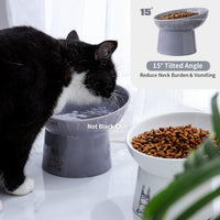6.5 Inch Extra Wide Ceramic Raised Cat Bowl Set - White & Grey - image 4