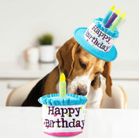 Large Dog Birthday Cake Hat & Bandana Set - Blue Hat & Bandana - image 2
