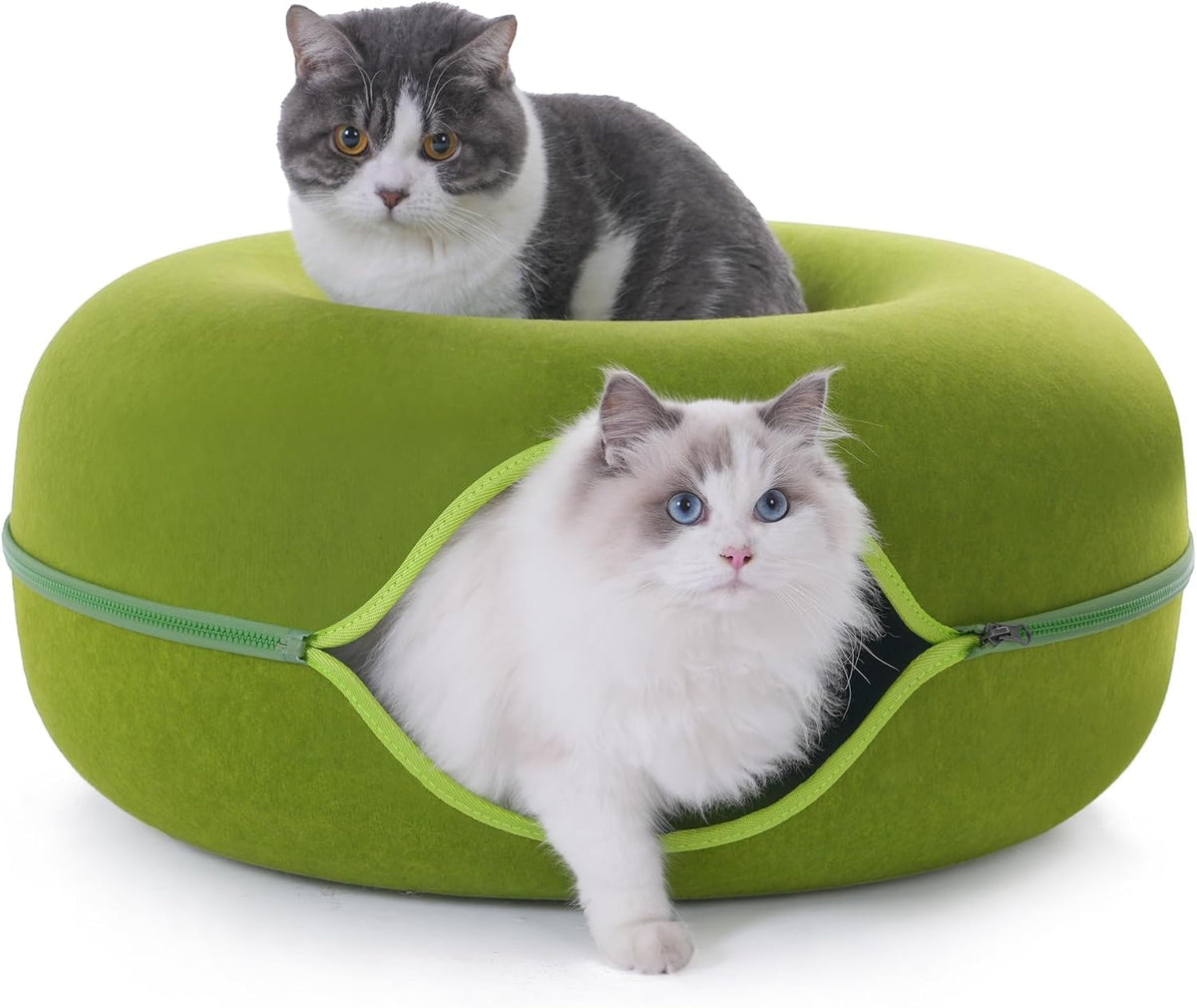 Large Cat Tunnel Bed for Indoor Cats with 3 Toys - L(24x24x11) / Green - image 2