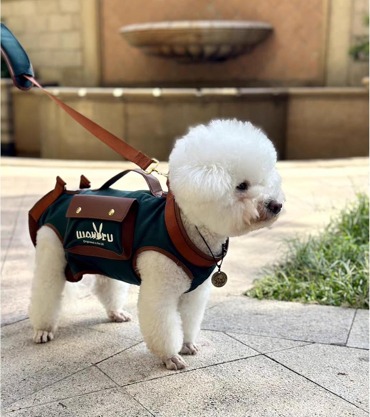 Wakytu Dog Lift Harness Dog Carrier Sling for Small Dogs & Cats - Small(4-8 LBS) / 1.0 Green - image 3