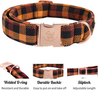 Elegant little tail Fall Dog Collar - Black and Yellow / X-Large (Pack of 1) - image 2