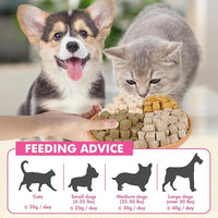 Freeze Dried Cats & Dogs Raw Treats, All Natural Single Ingredient Salmon, High Protein Healthy Pet Training Treats or Food Topper, 10.6 oz