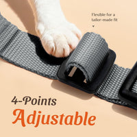 Cat Harness and Leash Set, Adjustable and Escape Proof - Grey / Xxs - image 3