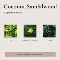 Coconut Sandalwood Car Air Freshener - 4 Pack