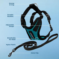 Voyager Escape-Proof Step-in Harness & Leash, Moss Green - Turquoise/Black Trim / XXXS (Chest: 10.5 - 13") - image 3