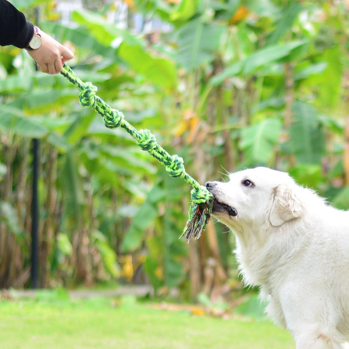 Dog Rope Toy for Large Dogs Heavy Duty Dog Chew Toys for Aggressive - 1 Pack / Large - image 2