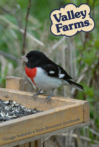 Valley Farms Cardinal Mix (10 LB) Wild Bird Food for Outside Feeders, Cardinal Bird Seed with Black Oil Sunflower Seeds and Safflower Seeds, Attract a Variety of Wild Birds