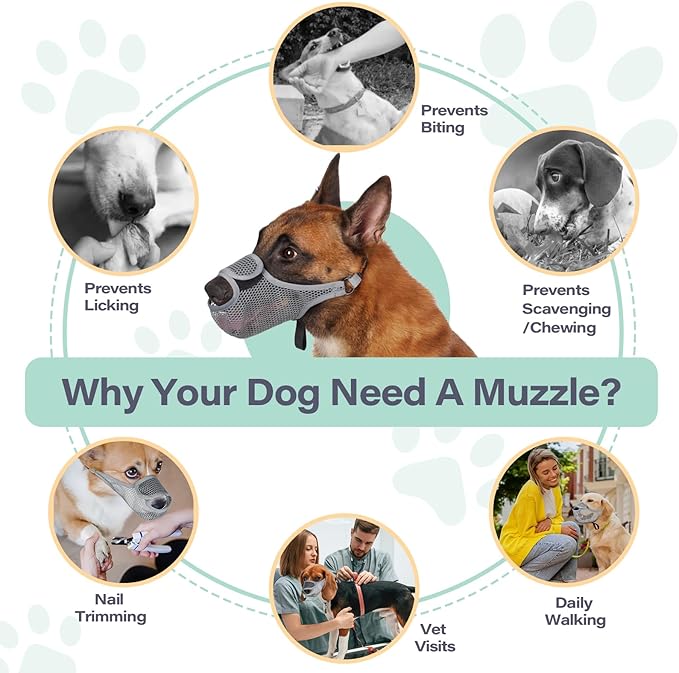 LUCKYPAW Dog Muzzle for Large Medium Small Dogs, Patented Mesh Muzzle to Prevent Biting Chewing Eating, Soft Mouth Guard with Front Opening Design for Drinking Panting(Grey, XXL)