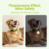 Pawaii Dog ID Tag, Silent Silicone QR Code Tag, Scan Alerts - Light Green - image 2