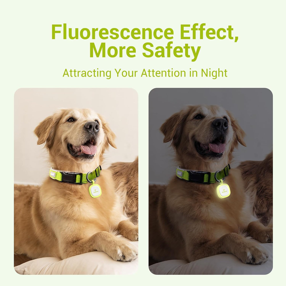 Pawaii Dog ID Tag, Silent Silicone QR Code Tag, Scan Alerts - Light Green - image 2