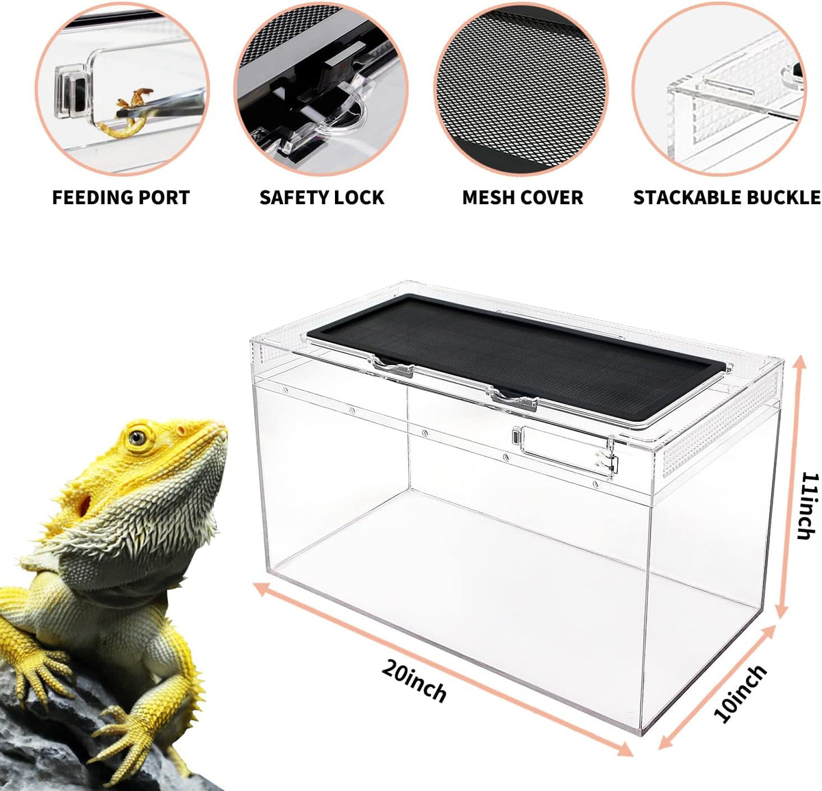 Reptile Growth Reptile Terrarium - 20" x 10"x 11" - image 3