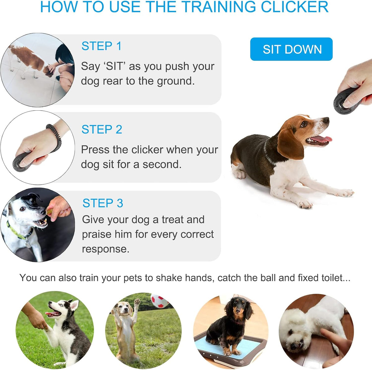 Diyife Dog Clicker for Training - Black and Water Lake Blue - image 2