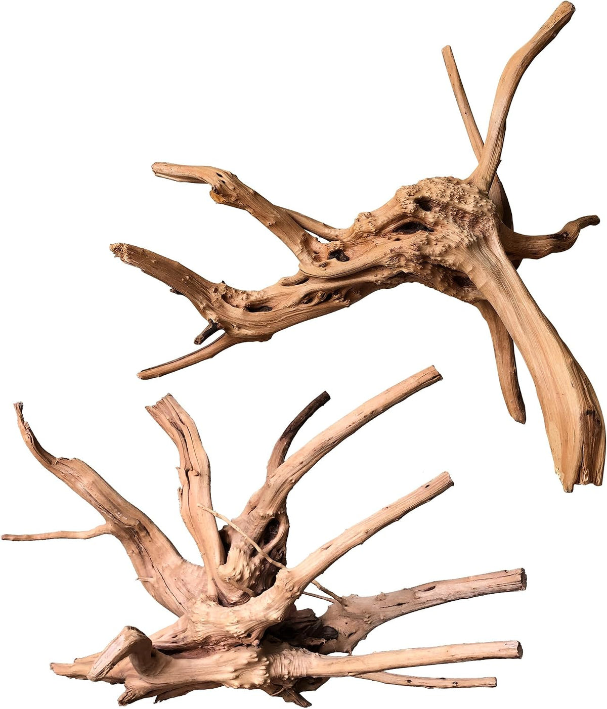 majoywoo Natural Driftwood for Aquarium Decor Fish Tank Decor Reptile - Spiderwood 11 to 14 Inch(Pack of 2)