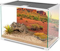 AWERT 24x12 in Terrarium Backdrop Desert Cactus Reptile Habitat - 48x20in/120x50cm - image 3