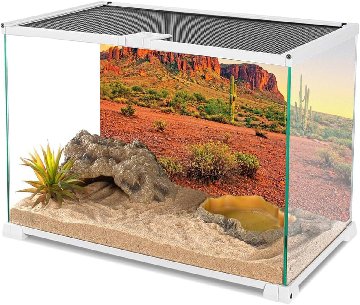 AWERT 24x12 in Terrarium Backdrop Desert Cactus Reptile Habitat - 48x20in/120x50cm - image 3
