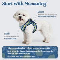 rabbitgoo Dog Harness Small Sized and Leash Set - Navy Lemon / Xs (chest: 13.3 - 15.5") - image 2