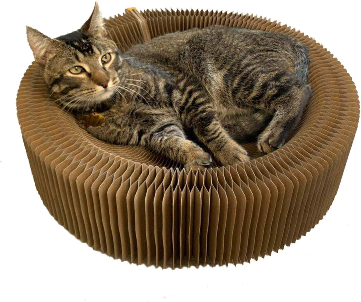 Cat Scratcher Lounge Bed, Collapsible Round Shape for Big Cat