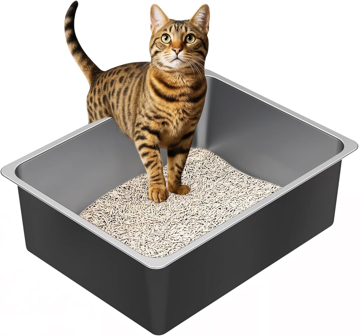 Ohtomber High Sided Stainless Steel Cat Litter Box – Daily Care for Cats - 17.5"L × 13.6"W × 6"H