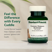 Standard Process Canine Dermal Support - Skin & Adrenal Gland Support Supplement - Comprehensive Skin Health Support Supplement for Dogs - Daily Immune & Liver Support Powder - 30 g