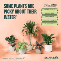 Tap Water Conditioner for Houseplants & Hydroponics - Remove Chlorine, Chloramines & Heavy Metals, Buffers pH - 8 Oz