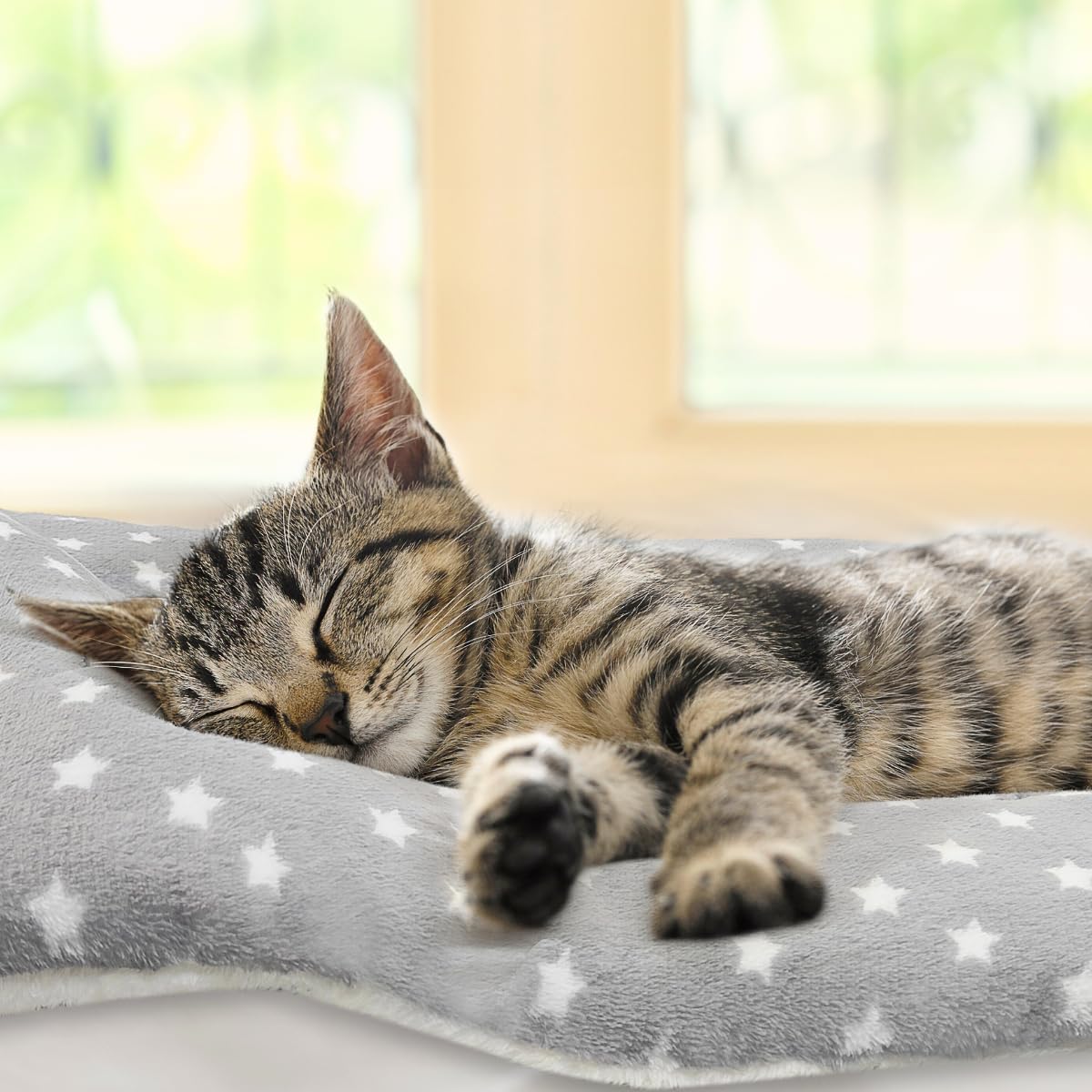2 Pack Cat Blanket for Indoor Cats - Stars / 13X10 in - image 4