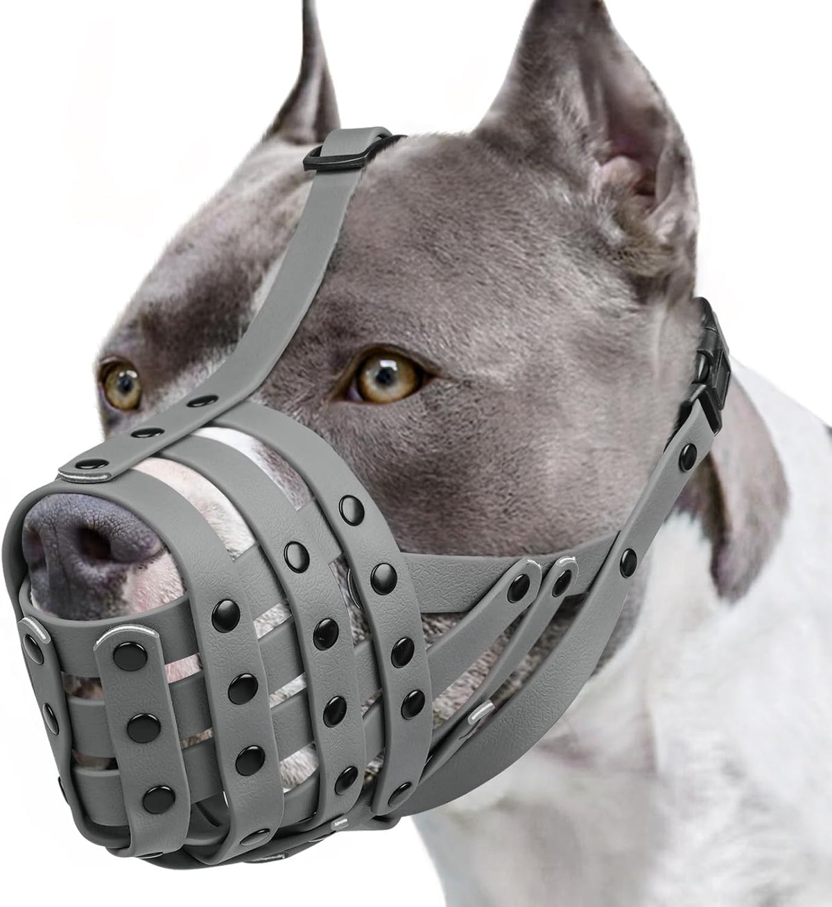 Pitbull Dog Muzzle for Large Medium Dogs Prevent Biting Scavenging – Essentials for Dogs - Grey / M [Snout Cir: 9.75"-11"]