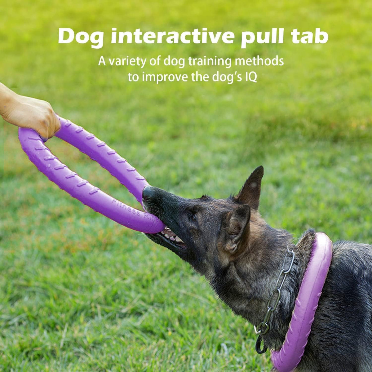 XL Large Indestructible Dog Toys - Medium/Large Size Purple - image 4