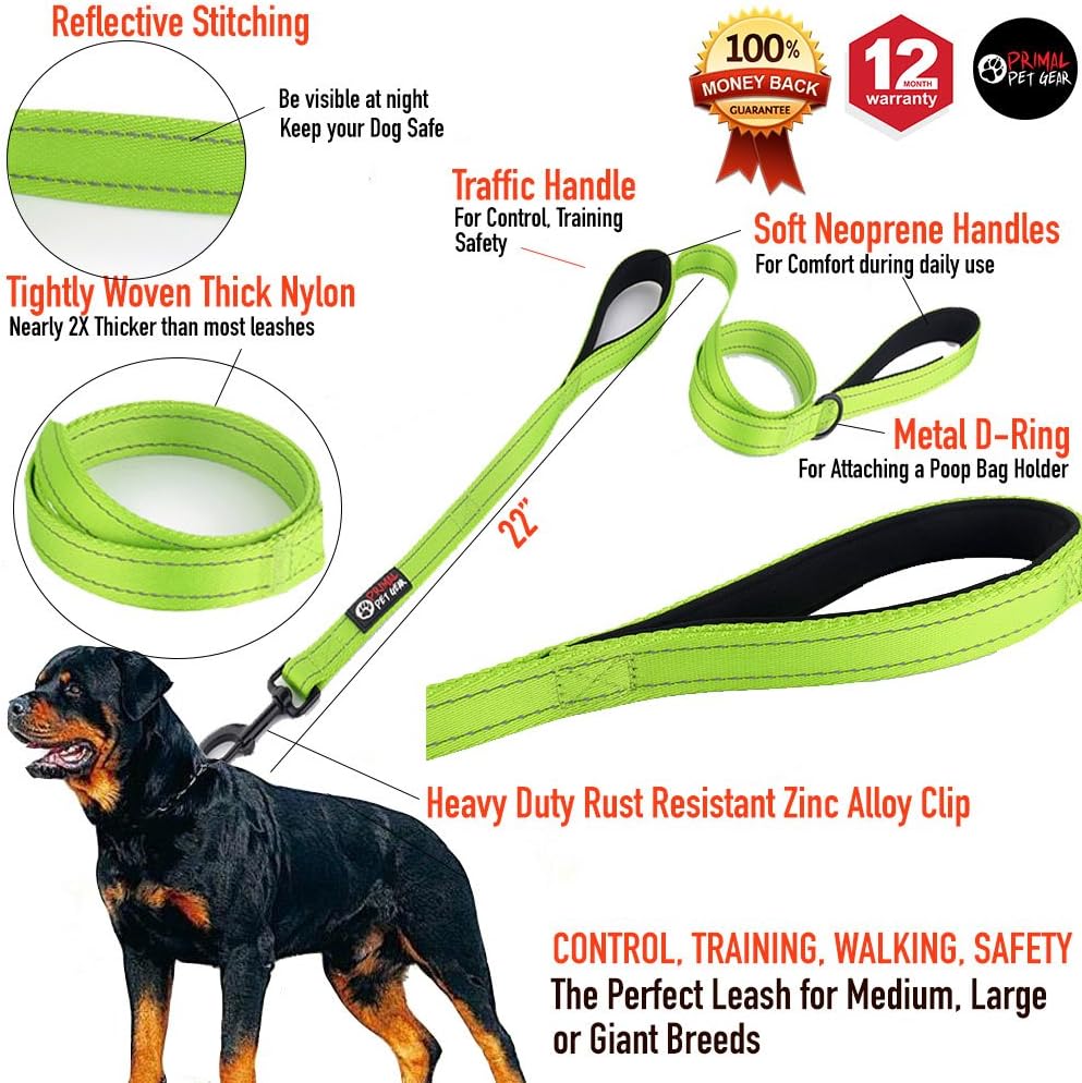 Dog Leash 6ft Long, Traffic Padded Two Handle, Heavy Duty - 6FT / Green - image 2