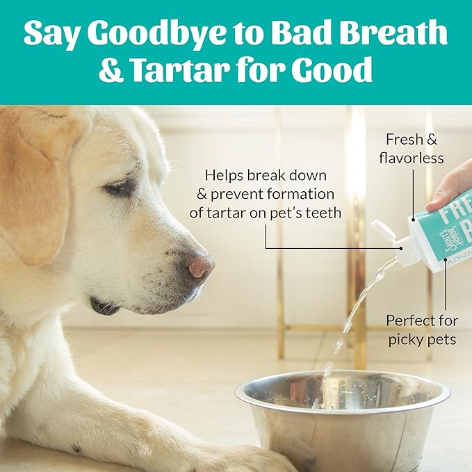 SKOUT'S HONOR Fresher Breath Water Additive for Pets - VOHC Accepted for Tartar Control, Freshens Breath Fast, No Brushing Required, 32 oz, 2-Pack