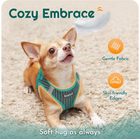 Eagloo Small Dog Harness and Leash Set - S(Chest:15.1"-16.5") / Forest Green - image 4