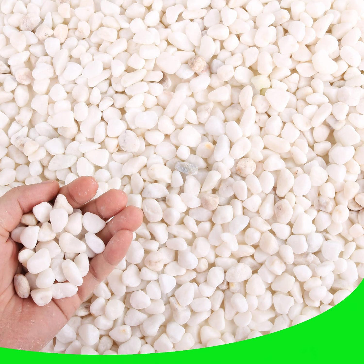 45lb White Rocks for Plants, Potting - 3LB / White