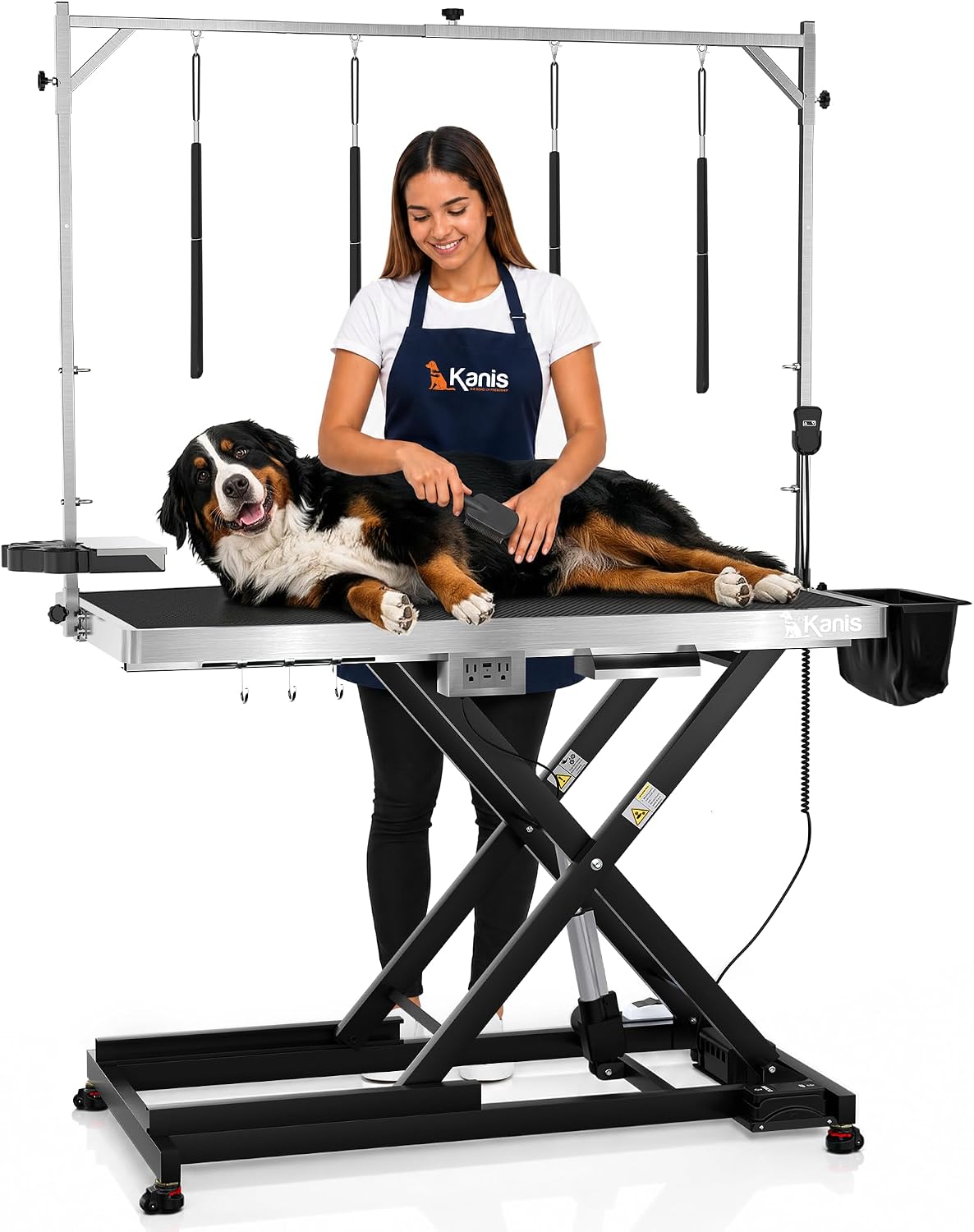 Professional Electric Dog Grooming Table, Heavy Duty - BLACK / 49"