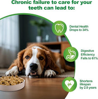 Dog Dental Powder,Dog Teeth Cleaning Powder,Dog Dental Cat Dental Care,Cat and Dog Teeth Cleaning,Canine Plaque Remover Helps Reduce Bad Breath,Improve Pet's Oral Cavity and Freshen Breath（80G）