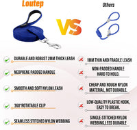 Long Line Dog Training Leash with Padded Handle - 100ft / Blue - image 3