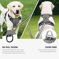 Timos Dog Harness Small Sized, No Pull with Neck Lockable Snap,No Choke Front Clip Dog Reflective Harness,Adjustable Metal Rings 3 Buckles,Easy Control Handle for Small Dogs Gray S