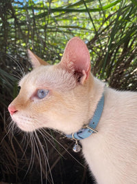 PUPTECK 2 PCS Soft Genuine Leather Cat Kitten Collar with Bells - Pink&Blue - image 2