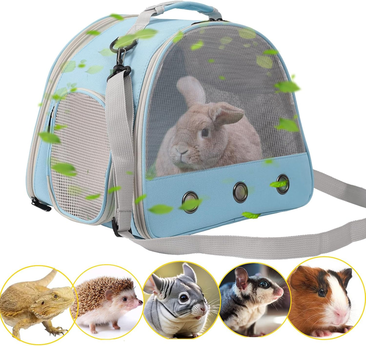 Bearded Dragon Travel Carrier, Lizards Carrier - Blue / Mesh Carrier