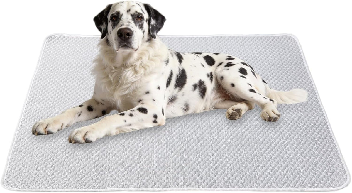 Large Dog Cooling Mat 46"x36", Washable Waterproof Non-Slip, L – Essentials for Dogs - Extra Large 60"x40"